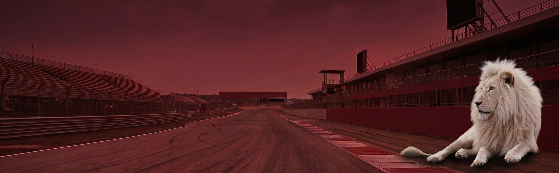 Caraggio Network racetrack with white lion — automotive aftermarket distribution